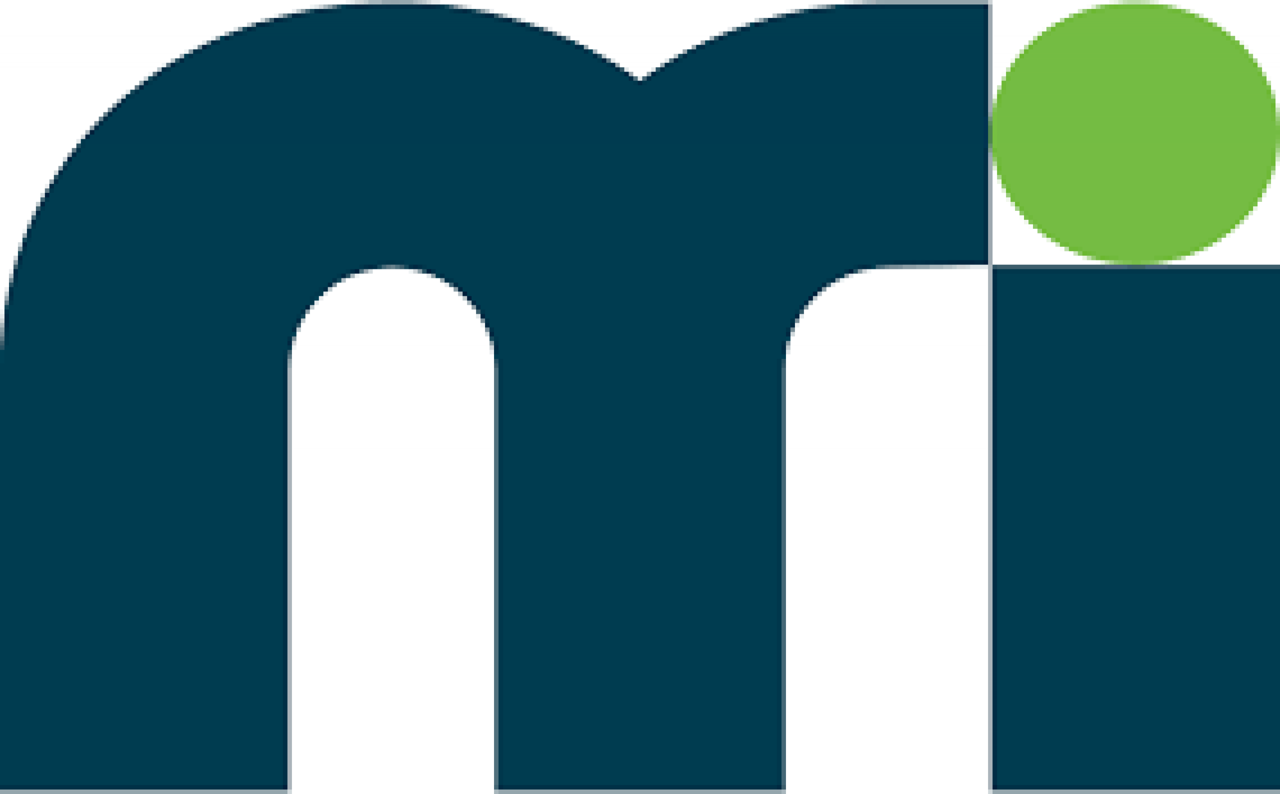 Marine & Industry Services A/S logo